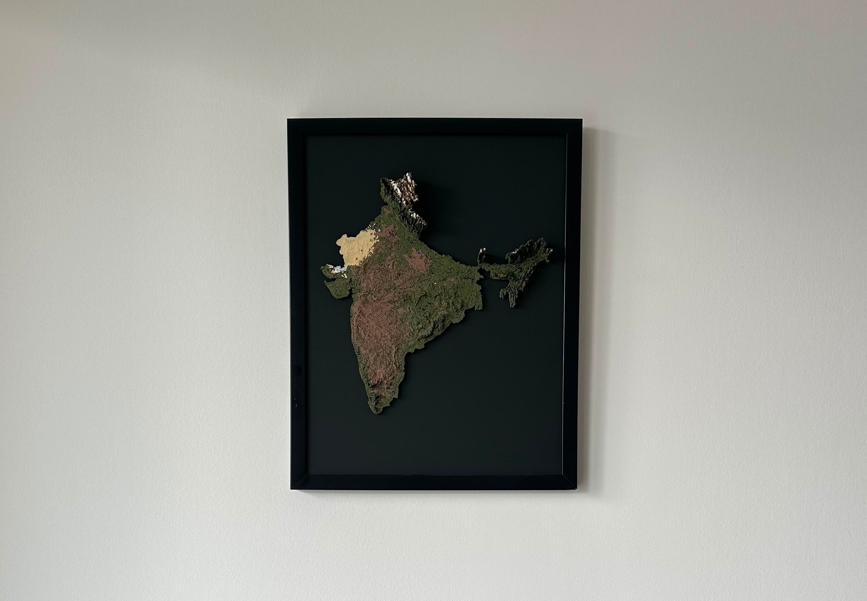 Homeland relief print on wall